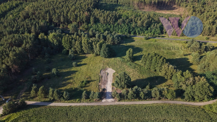 Działka Sprzedaż Leśniów Wielki 2
